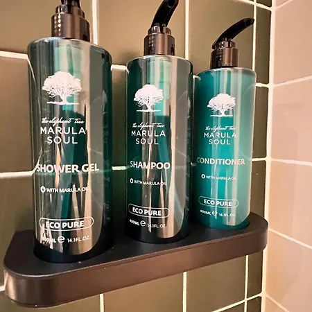 Merrion Square 公寓 都柏林