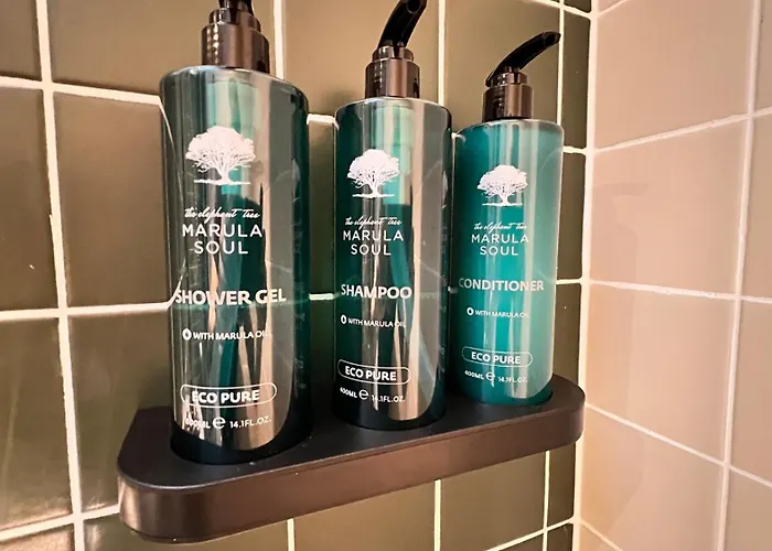 Merrion Square Appartement Dublin